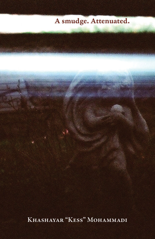 Khashayar "Kess" Mohammadi: A smudge. Attenuated