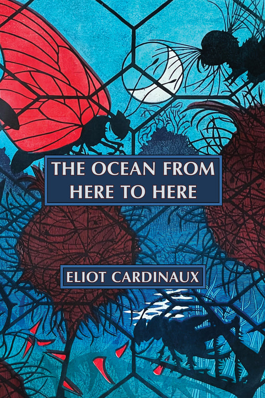 Eliot Cardinaux: The Ocean from Here to Here